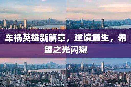 来了老弟 第4页