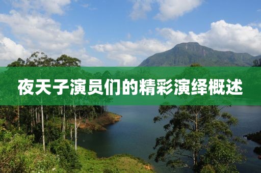 夜天子演员们的精彩演绎概述