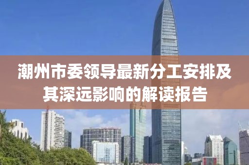 潮州市委领导最新分工安排及其深远影响的解读报告