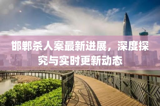 邯郸杀人案最新进展，深度探究与实时更新动态