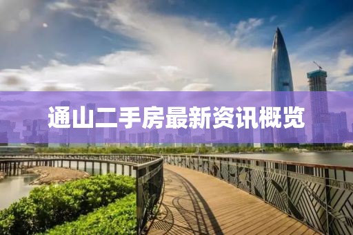 通山二手房最新资讯概览