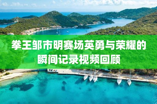 拳王邹市明赛场英勇与荣耀的瞬间记录视频回顾