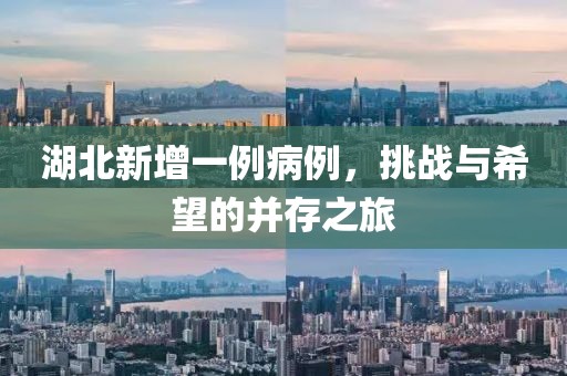 湖北新增一例病例，挑战与希望的并存之旅