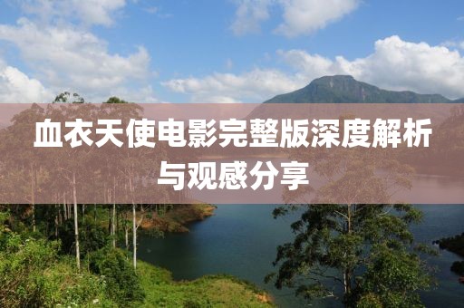 血衣天使电影完整版深度解析与观感分享