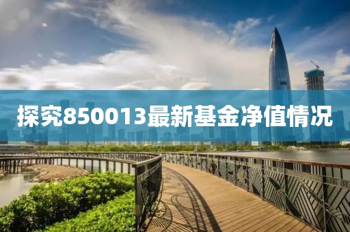 探究850013最新基金净值情况