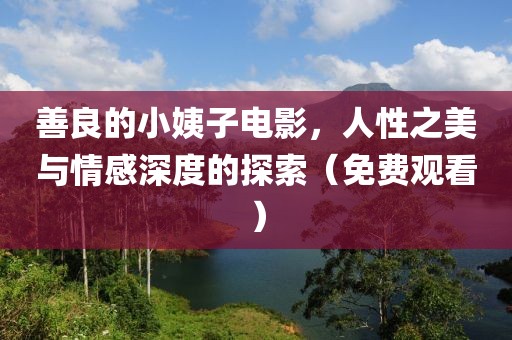 善良的小姨子电影，人性之美与情感深度的探索（免费观看）