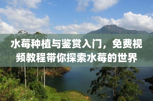 水莓种植与鉴赏入门，免费视频教程带你探索水莓的世界
