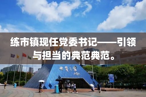 练市镇现任党委书记——引领与担当的典范典范。