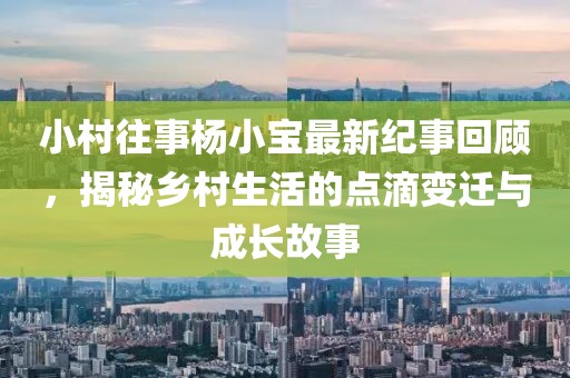 小村往事杨小宝最新纪事回顾，揭秘乡村生活的点滴变迁与成长故事
