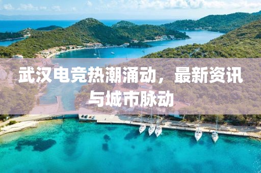 武汉电竞热潮涌动，最新资讯与城市脉动