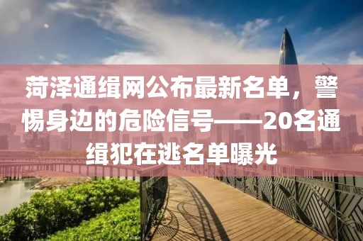 菏泽通缉网公布最新名单，警惕身边的危险信号——20名通缉犯在逃名单曝光