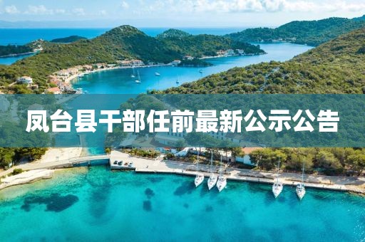 凤台县干部任前最新公示公告