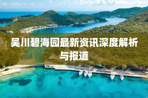吴川碧海园最新资讯深度解析与报道