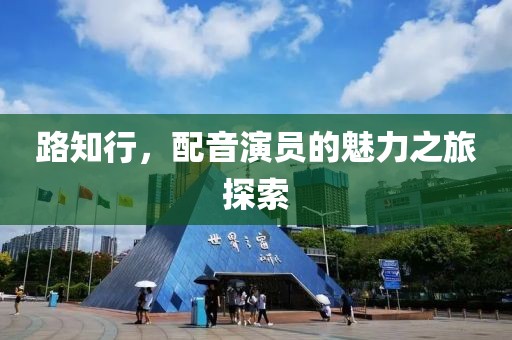 路知行，配音演员的魅力之旅探索