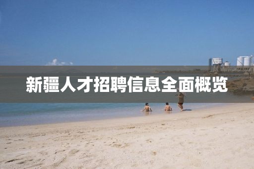 新疆人才招聘信息全面概览