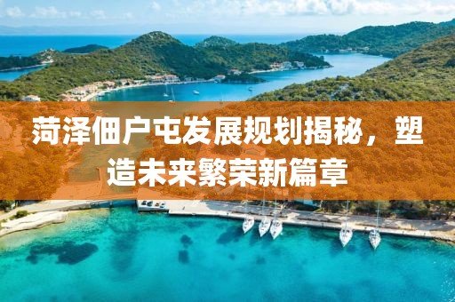 菏泽佃户屯发展规划揭秘，塑造未来繁荣新篇章