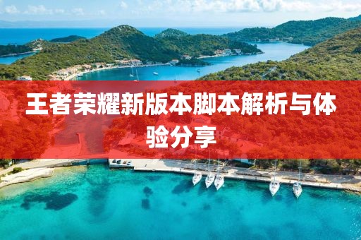 王者荣耀新版本脚本解析与体验分享