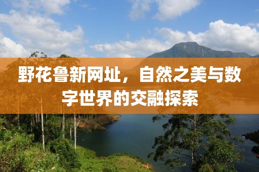 野花鲁新网址，自然之美与数字世界的交融探索
