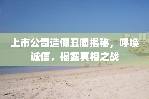 上市公司造假丑闻揭秘，呼唤诚信，揭露真相之战