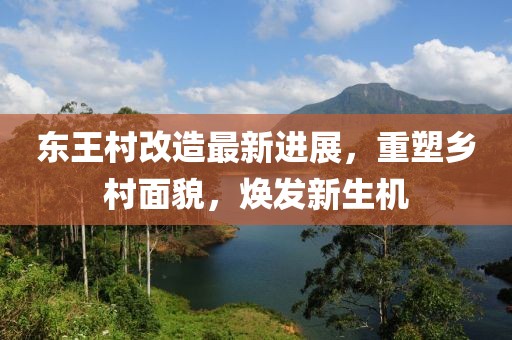 东王村改造最新进展，重塑乡村面貌，焕发新生机
