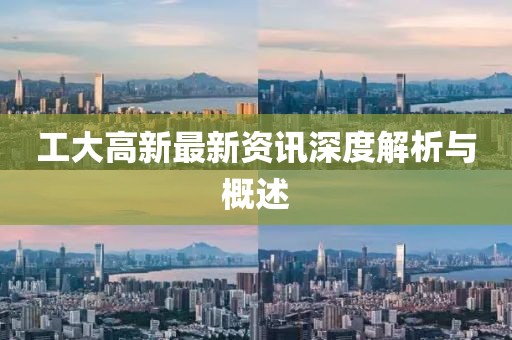 工大高新最新资讯深度解析与概述