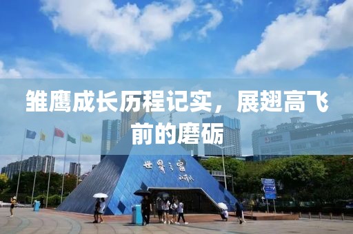 雏鹰成长历程记实，展翅高飞前的磨砺