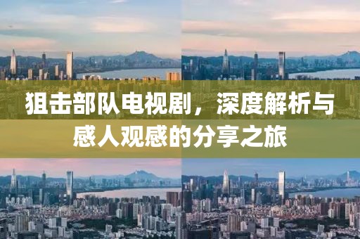 狙击部队电视剧，深度解析与感人观感的分享之旅