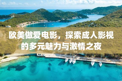 欧美做爱电影，探索成人影视的多元魅力与激情之夜
