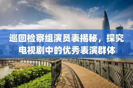 巡回检察组演员表揭秘，探究电视剧中的优秀表演群体