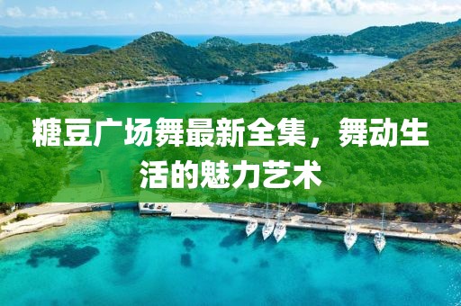 糖豆广场舞最新全集，舞动生活的魅力艺术