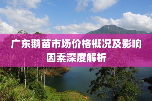 广东鹅苗市场价格概况及影响因素深度解析