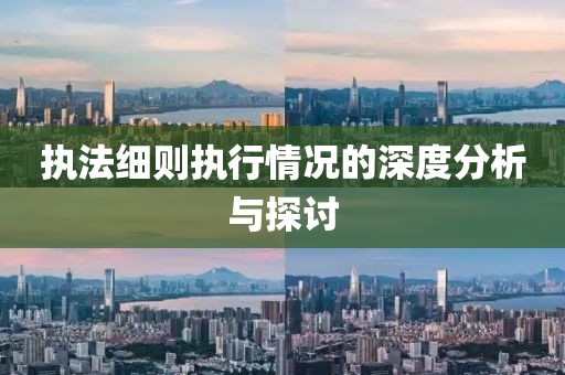 执法细则执行情况的深度分析与探讨