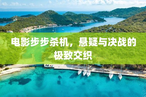 电影步步杀机，悬疑与决战的极致交织