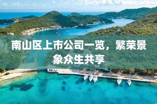 南山区上市公司一览，繁荣景象众生共享