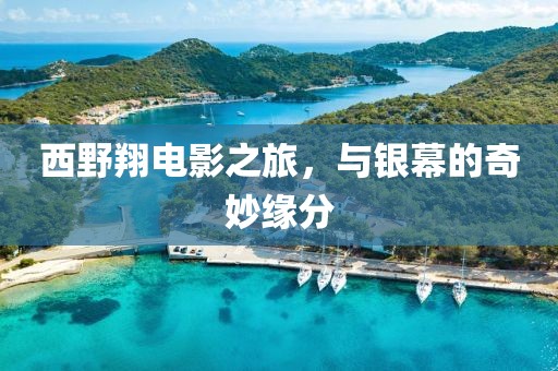 西野翔电影之旅，与银幕的奇妙缘分