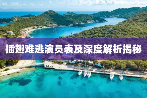 插翅难逃演员表及深度解析揭秘