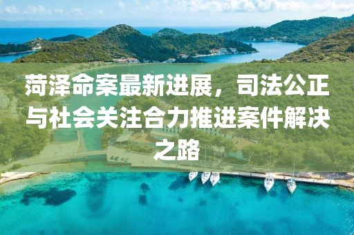 菏泽命案最新进展，司法公正与社会关注合力推进案件解决之路