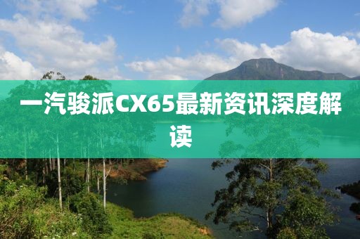 2025年5月8日 第13页