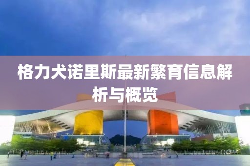 格力犬诺里斯最新繁育信息解析与概览