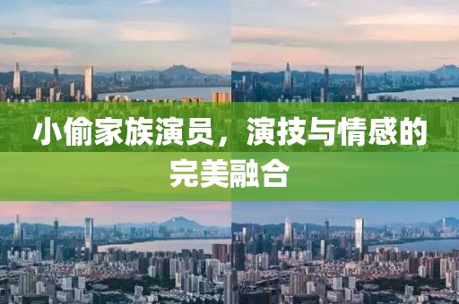 小偷家族演员，演技与情感的完美融合