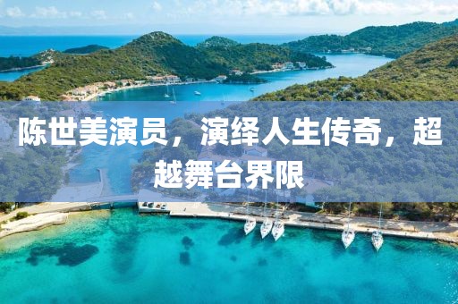 陈世美演员，演绎人生传奇，超越舞台界限