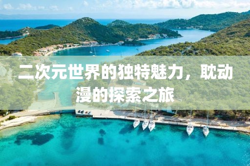 二次元世界的独特魅力，耽动漫的探索之旅