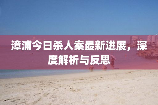 漳浦今日杀人案最新进展，深度解析与反思