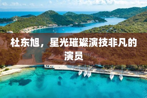 杜东旭，星光璀璨演技非凡的演员