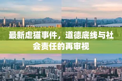 最新虐猫事件，道德底线与社会责任的再审视