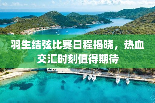 羽生结弦比赛日程揭晓，热血交汇时刻值得期待