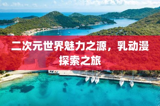二次元世界魅力之源，乳动漫探索之旅