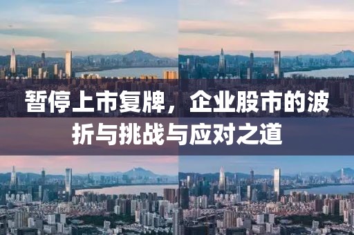 暂停上市复牌，企业股市的波折与挑战与应对之道
