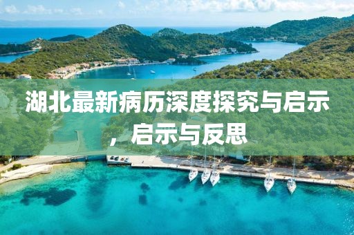 湖北最新病历深度探究与启示，启示与反思
