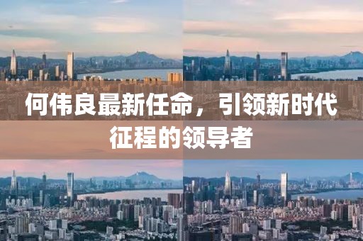 何伟良最新任命，引领新时代征程的领导者